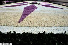 Holiday of Flowers celebrated in parks in Baku - PHOTO SESSION